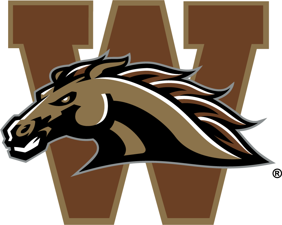 Western Michigan Broncos 1998-2016 Secondary Logo v2 iron on transfers for T-shirts